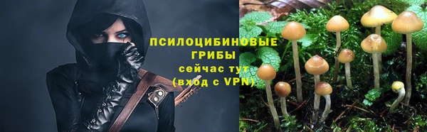 ПСИЛОЦИБИНОВЫЕ ГРИБЫ Аркадак