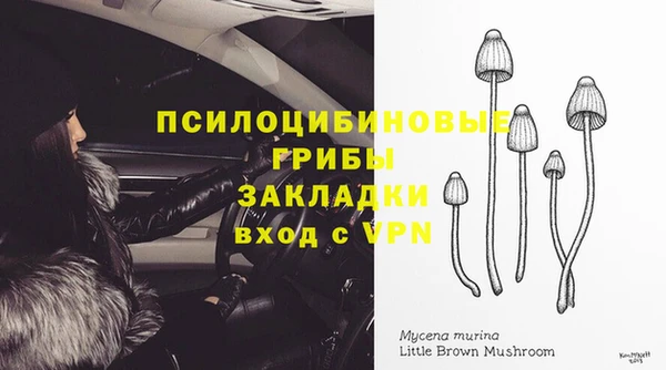 ПСИЛОЦИБИНОВЫЕ ГРИБЫ Аркадак